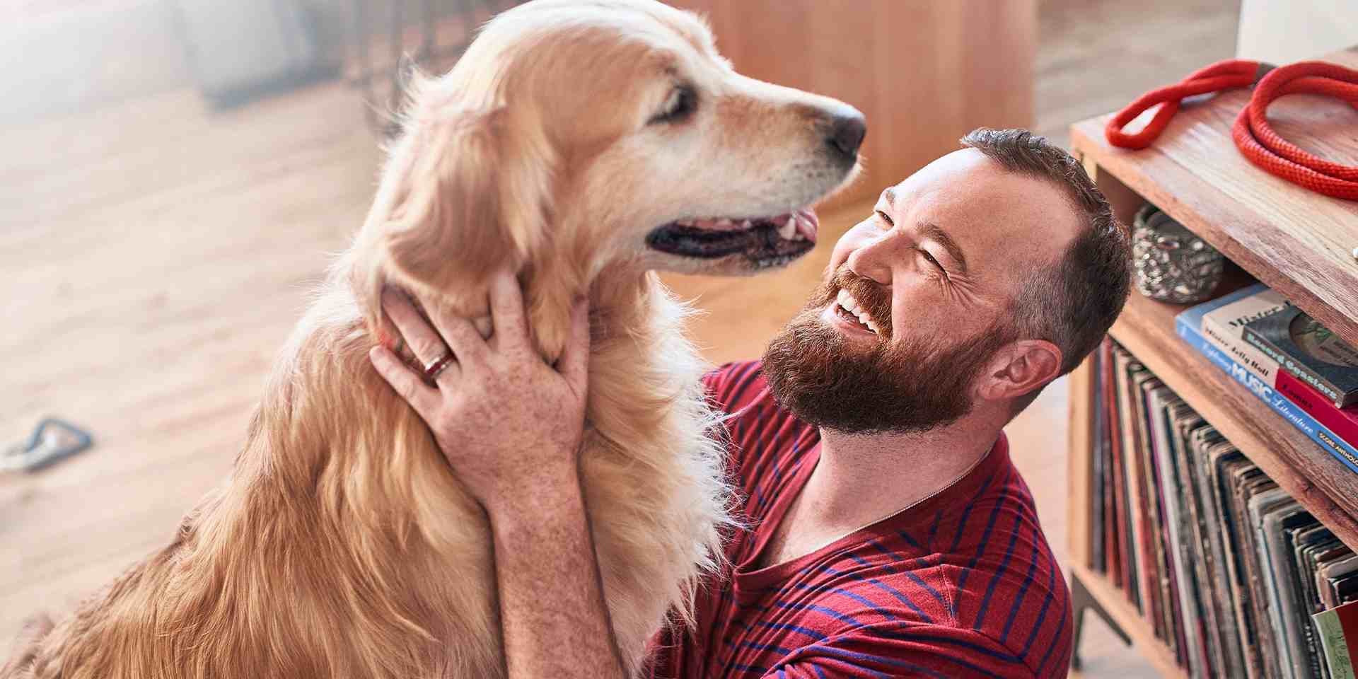 ¿Sabes cómo cuidar a tu perro en época de lluvia?