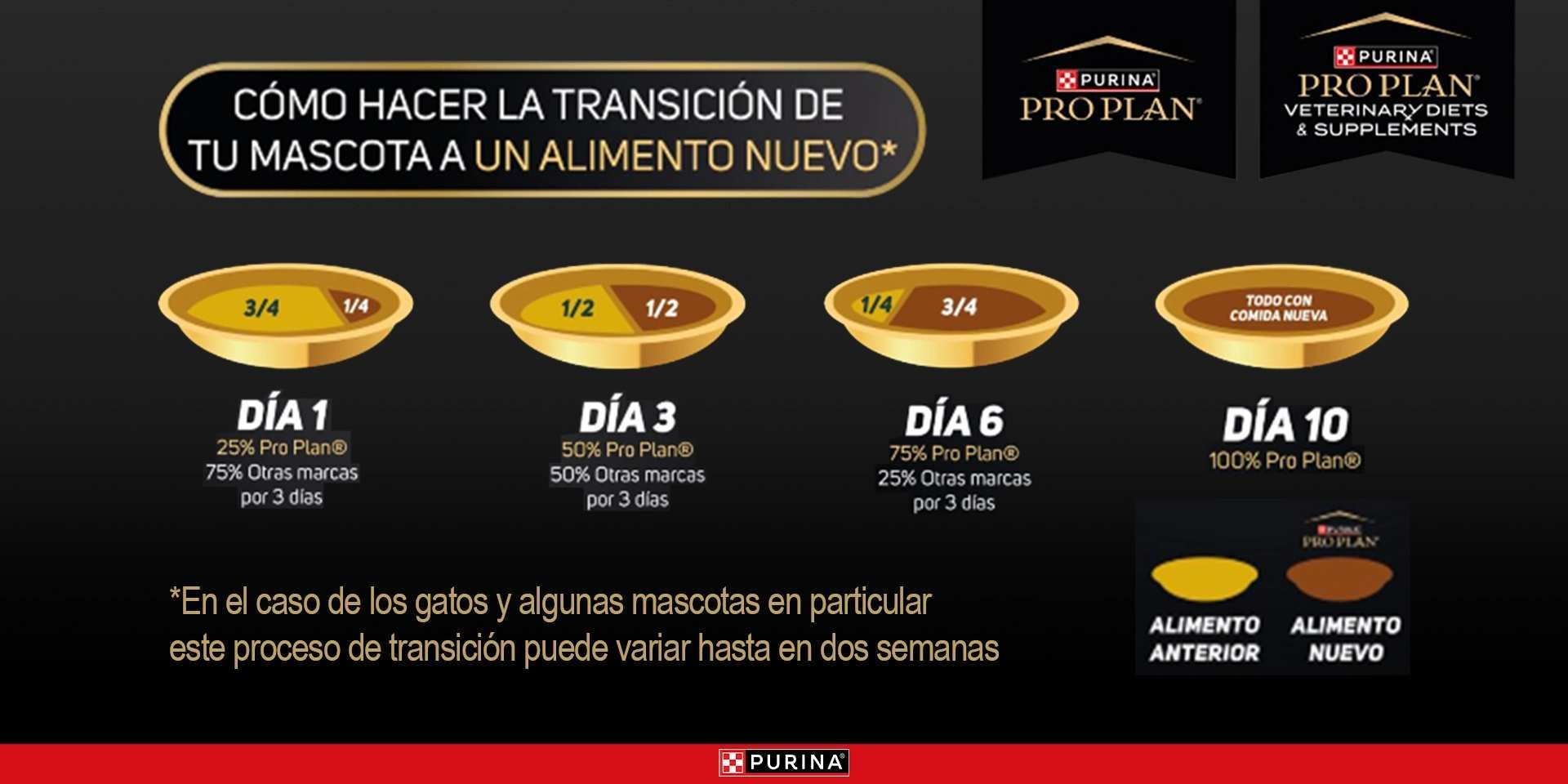 Infografía sobre el adecuado cambio de alimento en perros y gatos.