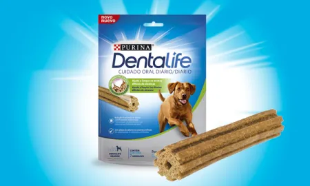 dentalife-perro-grande.png.webp?itok=GJOuSpEK