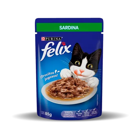 sardina_felix_0.png.webp?itok=s8XDj8Z5