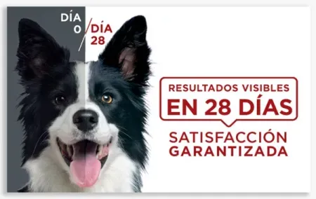 resultados-28-dias-perro.jpg.webp?itok=qi_4EbLw