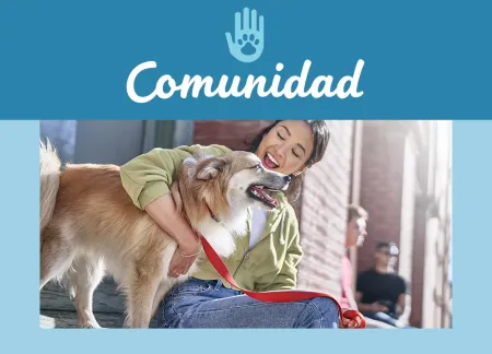 purina-img-community.jpg.webp?itok=8eNeh4A1 purina-img-community.jpg.webp?itok=8eNeh4A1