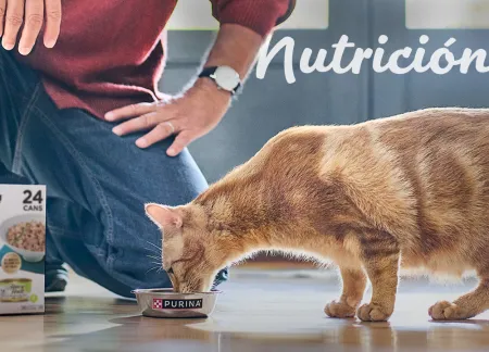 purina-img-cuidados-nutricion.jpg.webp?itok=GE2-upqh purina-img-cuidados-nutricion.jpg.webp?itok=GE2-upqh