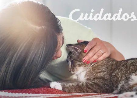 purina-img-cuidados.jpg.webp?itok=Syl1ngen purina-img-cuidados.jpg.webp?itok=Syl1ngen