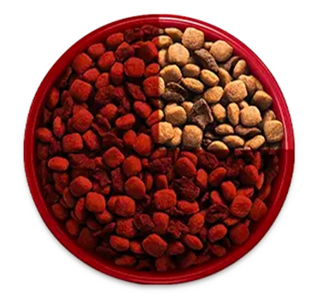 purina-one-transicion-alimento-bowl-1_0.png.webp?itok=qisnGoR9