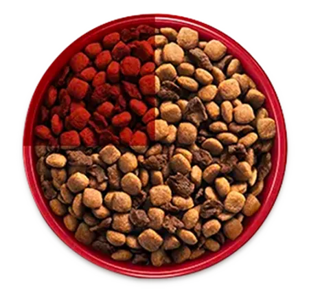 purina-one-transicion-alimento-bowl-3_0.png.webp?itok=w26DrDWq