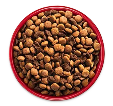 purina-one-transicion-alimento-bowl-4_0.png.webp?itok=cV4xDJr9