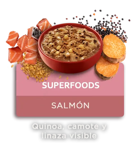 purina-one-superfoods-perros.png.webp